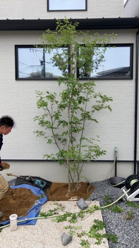 4月1日に新入社員を迎えました!