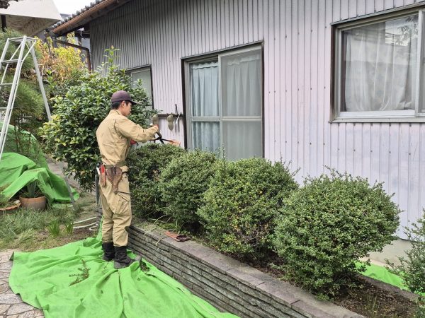 新入社員の剪定デビュー!